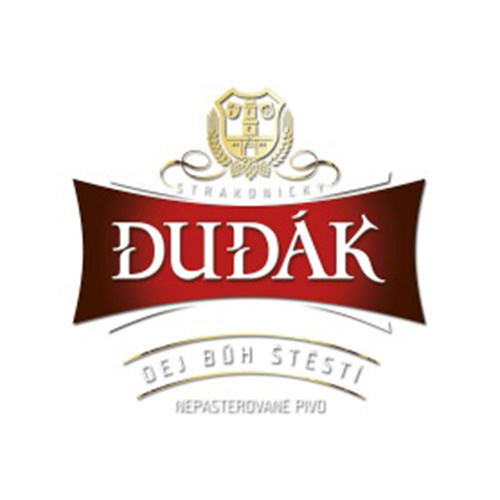 Here will be logo